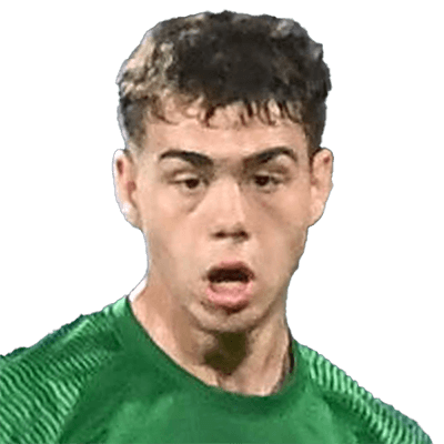 Andrei Borza