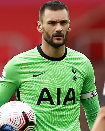 Hugo Lloris Erfolge