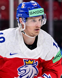 Dominik Kubalík Dominik Kubalík