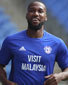 Junior Hoilett