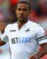 Wayne Routledge