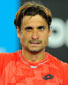 David Ferrer