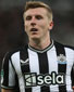 Matt Targett