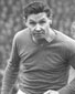 Willi Soya