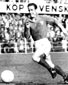 Raymond Kopa