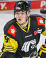 Daniil Valitov Daniil Valitov