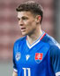 Adam Gaži