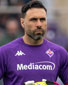 Salvatore Sirigu