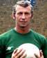 Bob Wilson