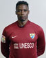 Carlos Kameni