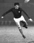 Josip Bukal
