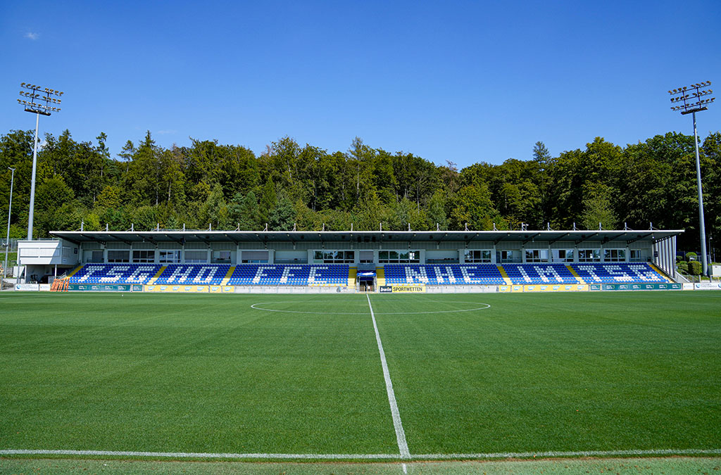 Dietmar-Hopp-Stadion, Sinsheim