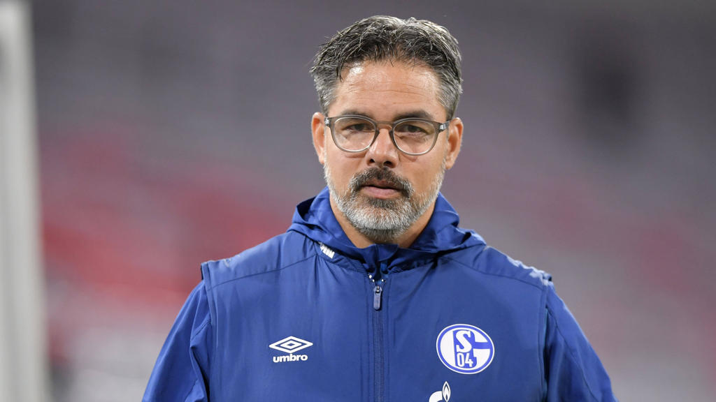 Trainiert Ex-Schalke-Coach David Wagner bald wieder in England?