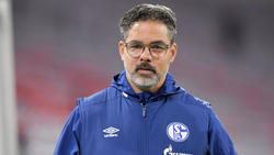 David Wagner steht beim FC Schalke 04 gehörig unter Druck