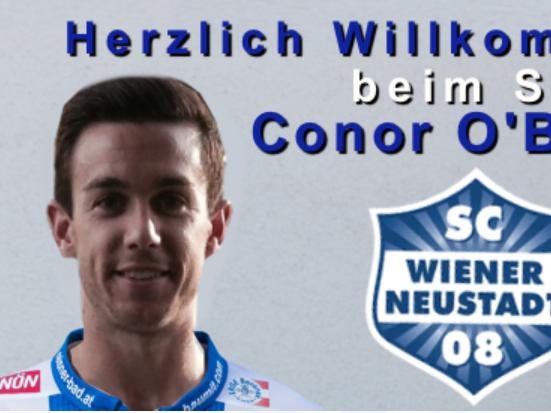 Conor O'Brien die Neuverpflichtung des SC Wiener Neustadt