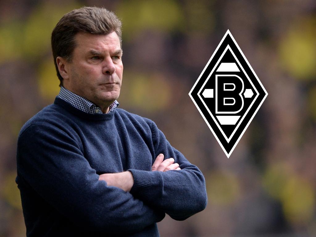 Dieter Hecking ist neuer Trainer von Borussia Mönchengladbach