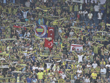 Portugiese Jesus soll Fenerbahce zu Titeln führen