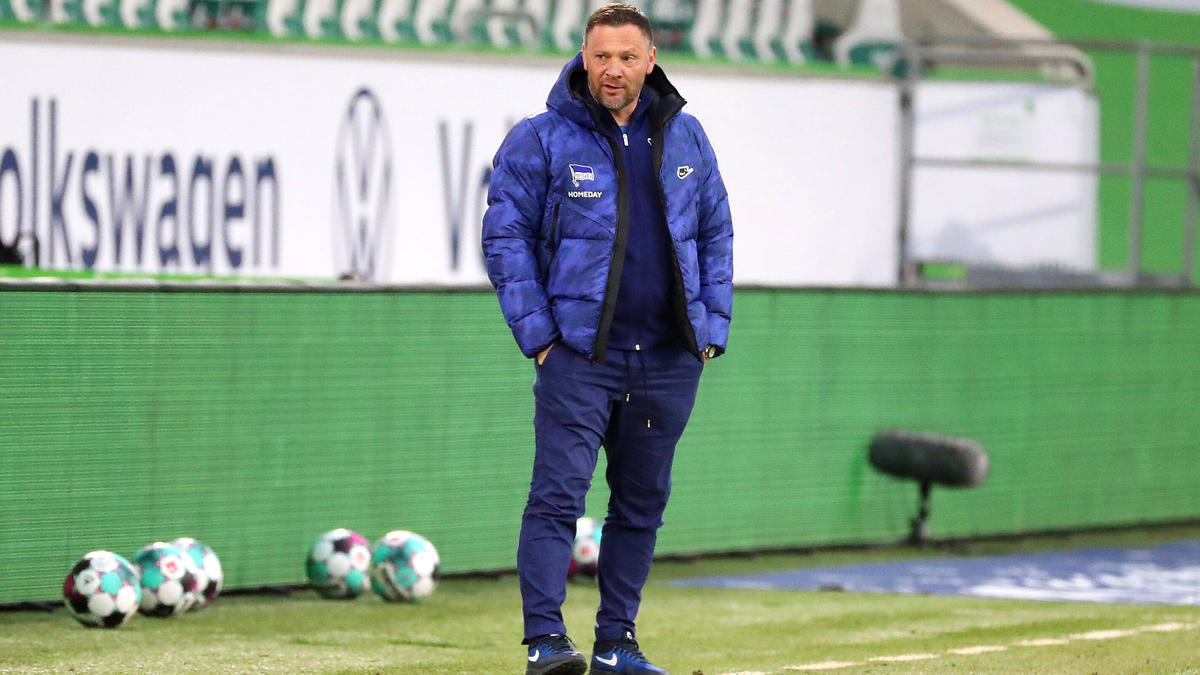 Würde sich über Unterstützung von Fredi Bobic freuen: Pál Dárdai Würde sich über Unterstützung von Fredi Bobic freuen: Pál Dárdai