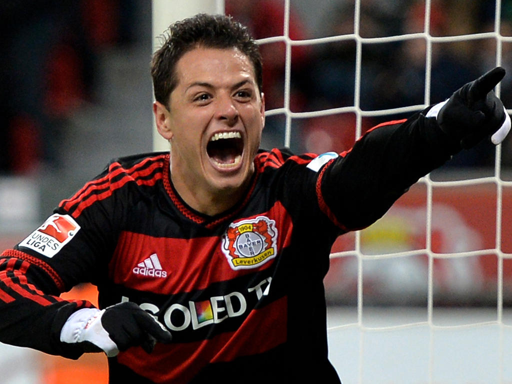 Unbestritten Leverkusens Transfer des Jahres: Chicharito Unbestritten Leverkusens Transfer des Jahres: Chicharito