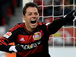 Unbestritten Leverkusens Transfer des Jahres: Chicharito