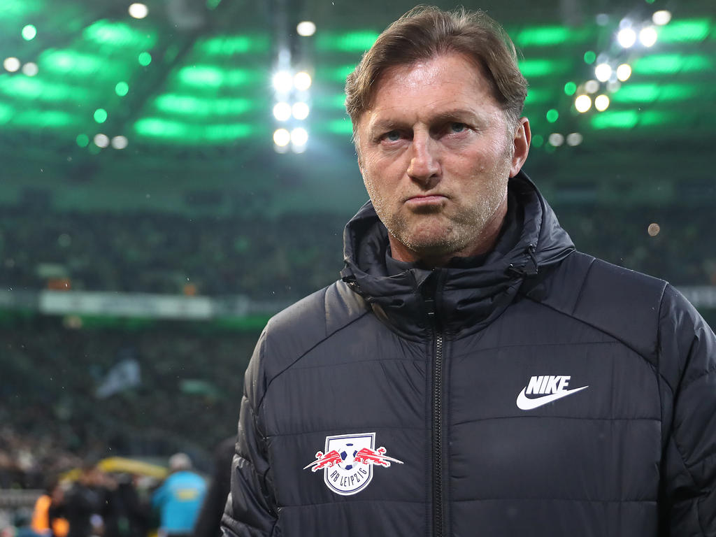 Bvb Hasenhüttl Bvb Hasenhüttl