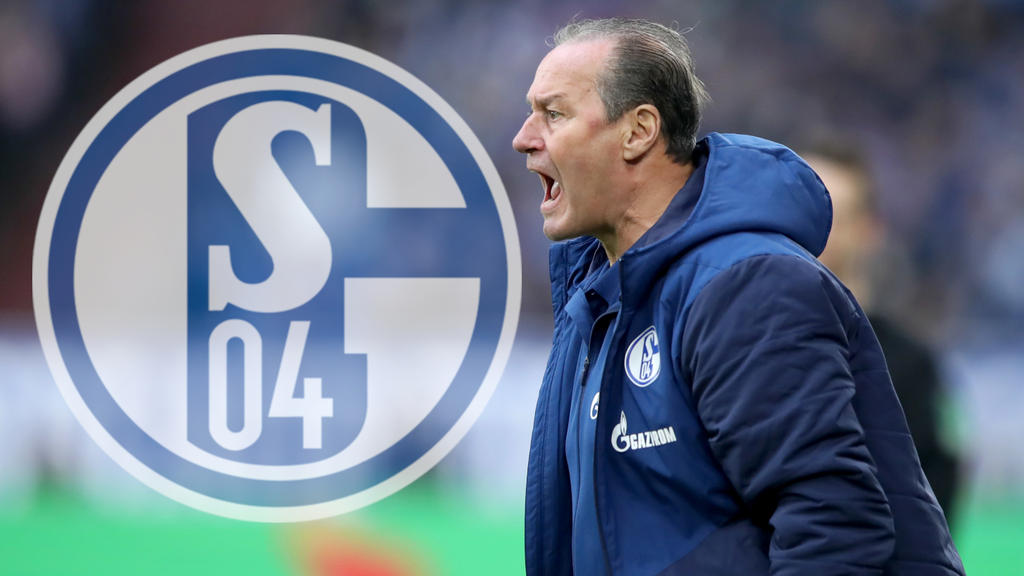 FC Schalke 04 im freien Fall: Die Chronik des Absturzes FC Schalke 04 im freien Fall: Die Chronik des Absturzes