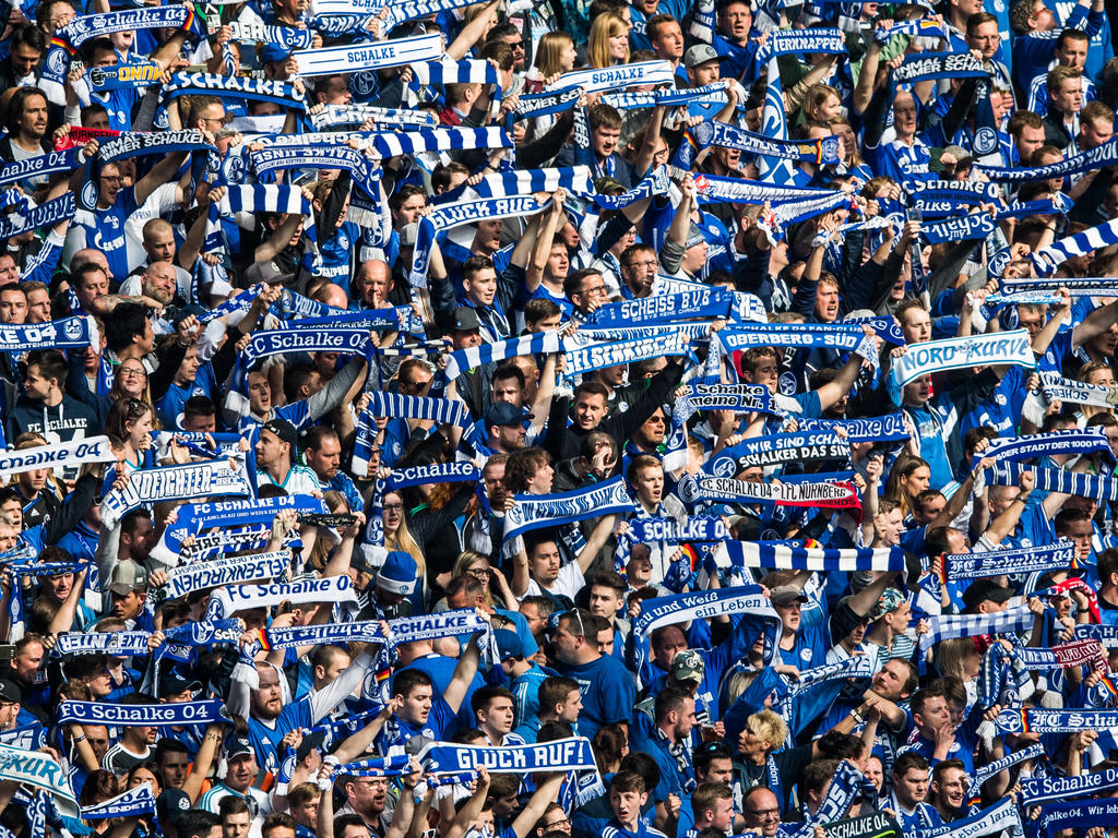 Schalke testet gegen Teams aus Spanien und Aserbaidschan