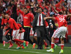 Benfica ist zum 36. Mal portugiesischer Meister