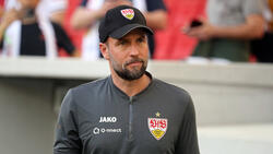 Sebastian Hoeneß bekannte sich zuletzt klar zum VfB Stuttgart