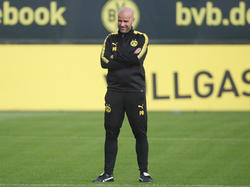 Peter Bosz erklärt seinen Wechsel zum BVB