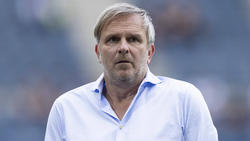 Dietmar Hamann fordert bessere Auftritte vom BVB