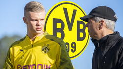 Erling Haaland ist der einzige Angreifer im Kader von BVB-Trainer Lucien Favre
