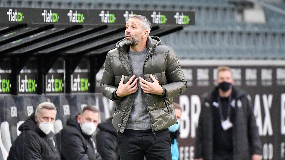 Marco Rose hat mit Gladbach noch alle Chancen auf die Teilnahme am Achtelfinale der Champions League Marco Rose hat mit Gladbach noch alle Chancen auf die Teilnahme am Achtelfinale der Champions League