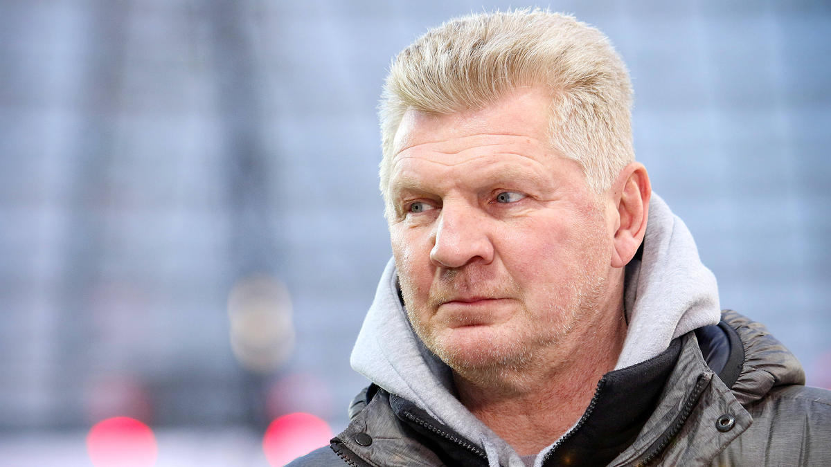 Stefan Effenberg lässt kein gutes Haar am FC Schalke Stefan Effenberg lässt kein gutes Haar am FC Schalke