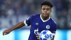 Weston McKennie soll das Gesicht von Schalke 04 werden