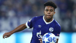 Weston McKennie ist noch bis 2022 an Schalke 04 gebunden