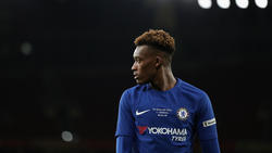 Callum Hudson-Odoi soll den FC Bayern verstärken