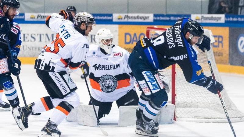 Die Löwen aus Frankfurt wollen bald in der DEL mitspielen Die Löwen aus Frankfurt wollen bald in der DEL mitspielen