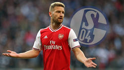 Shkodran Mustafi läuft ab sofort für den FC Schalke auf