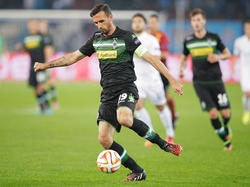 Martin Stranzl spielt ein weiteres Jahr für Borussia Mönchengladbach