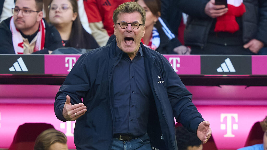 Dieter Hecking ist Cheftrainer beim VfL Bochum Dieter Hecking ist Cheftrainer beim VfL Bochum