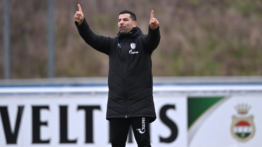 Dimitrios Grammozis ist seit knapp einem Jahr Trainer beim FC Schalke Dimitrios Grammozis ist seit knapp einem Jahr Trainer beim FC Schalke