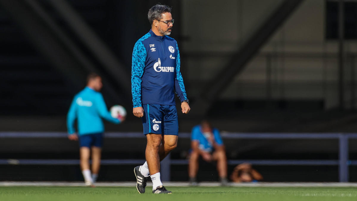 David Wagner steht beim FC Schalke mit dem Rücken zur Wand David Wagner steht beim FC Schalke mit dem Rücken zur Wand