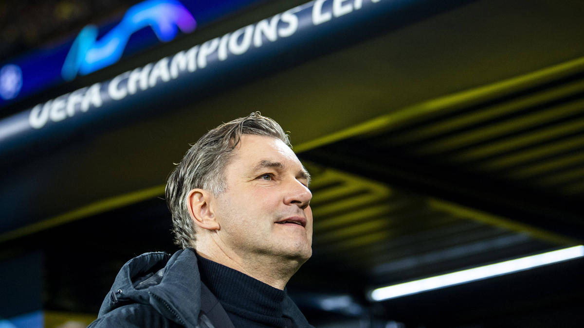 Michael Zorc ist Sportdirektor des BVB Michael Zorc ist Sportdirektor des BVB