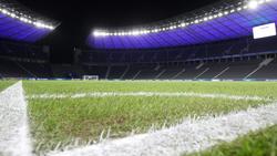 Im Berliner Olympiastadion wird ein neuer Rasen für Hertha BSC verlegt