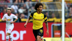 Axel Witsel hat sich im Sommer für einen Wechsel zum BVB entschieden