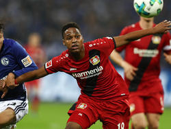 Wendell war 2015 am Steuer ohne Führerschein erwischt worden