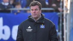 Dieter Hecking hofft noch auf Verstärkungen für den HSV