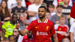 Daumen hoch: Cody Gakpo gewann mit dem FC Liverpool die Premier League