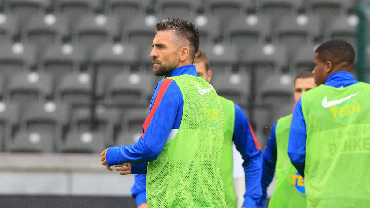 Vedad Ibisevic steht vor einem Wechsel zum FC Schalke 04 Vedad Ibisevic steht vor einem Wechsel zum FC Schalke 04